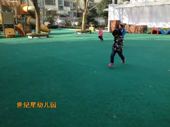 .jpg