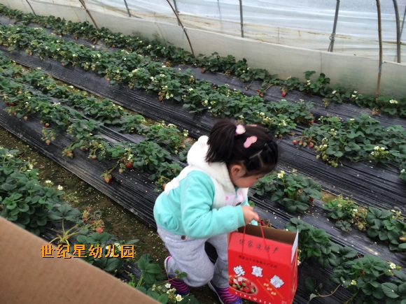 大人合影IMG_0849.JPG