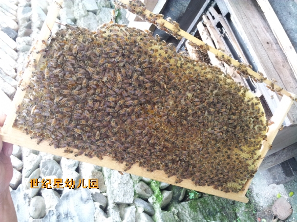 20140822_143654.jpg