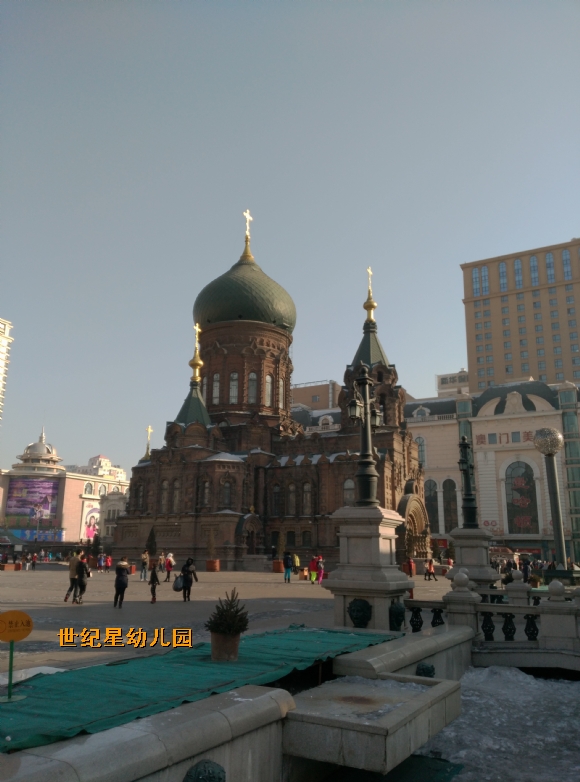 IMG_20150210_141652.jpg
