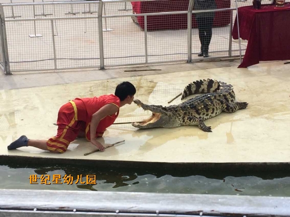 QQ图片20150609205555.jpg