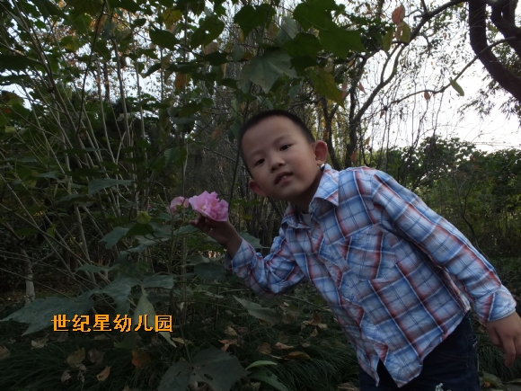 DSCF2305.JPG