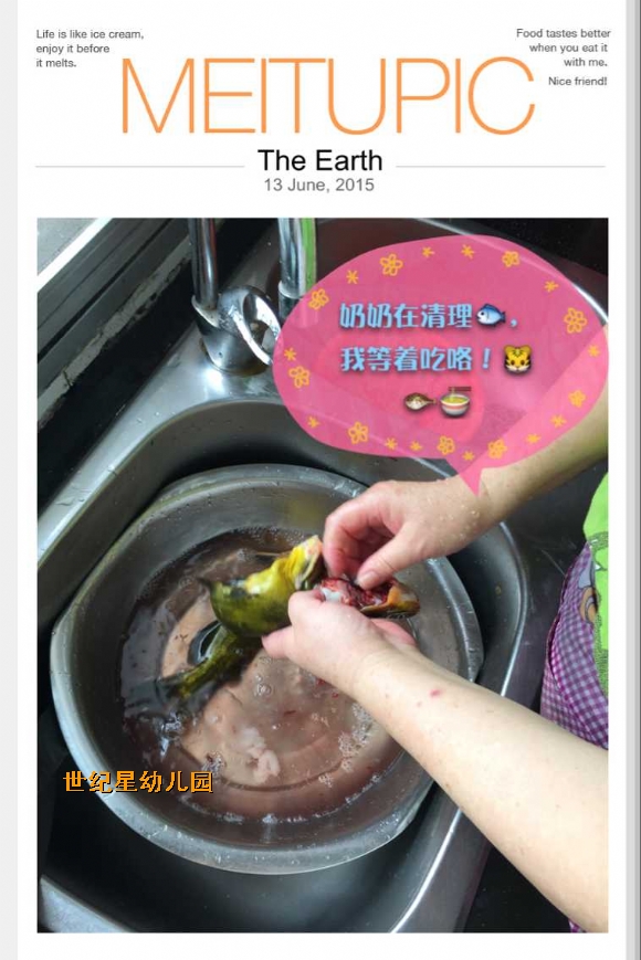 .jpg