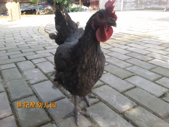 20150517_135036.jpg