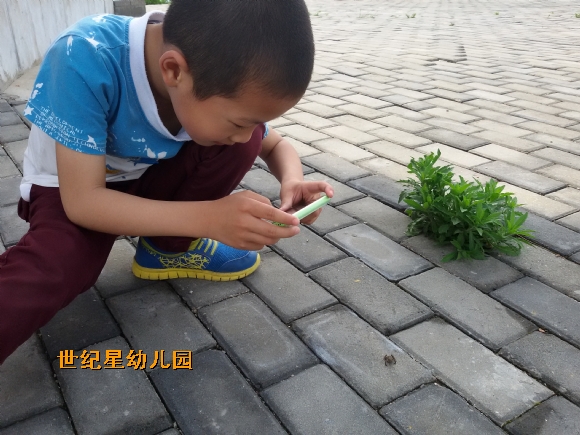 20150517_150605.jpg