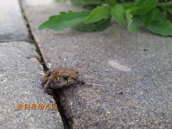 20150517_150434.jpg