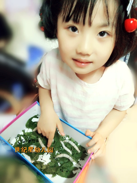 IMG20150514192625_.jpg