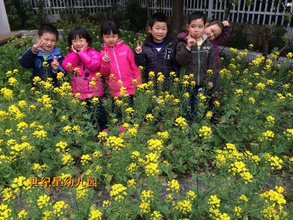 QQͼƬ20150619135905.jpg