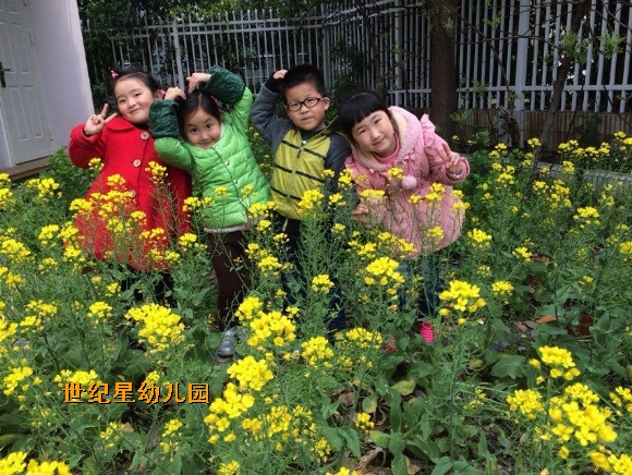 QQͼƬ20150619135917.jpg