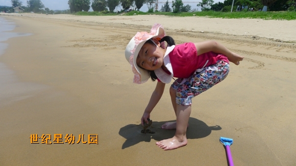 P1310289.jpg