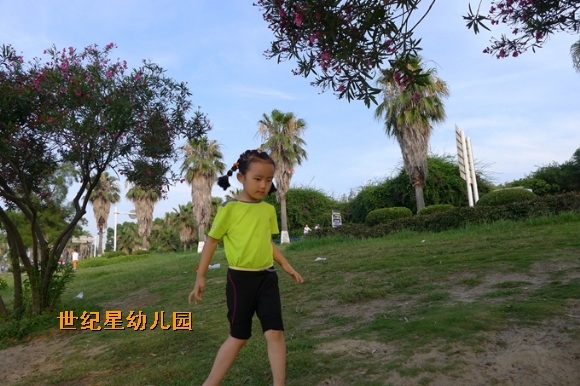 P1310597.jpg