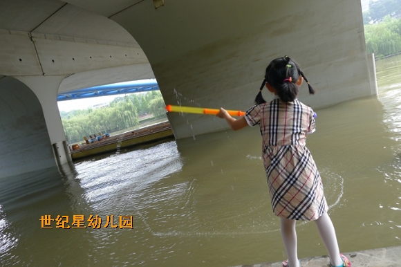P1310772.jpg