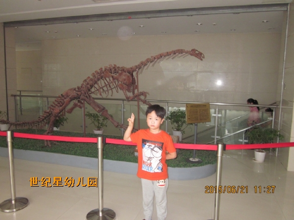 IMG_0918-2.jpg