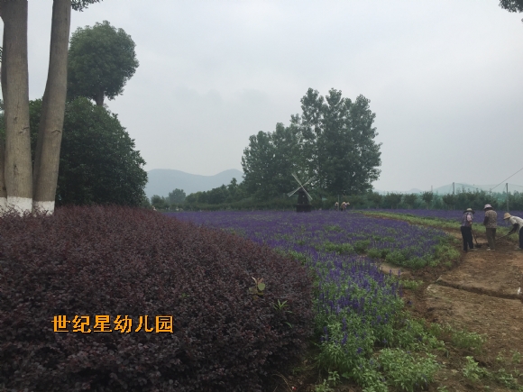 IMG_1545.JPG