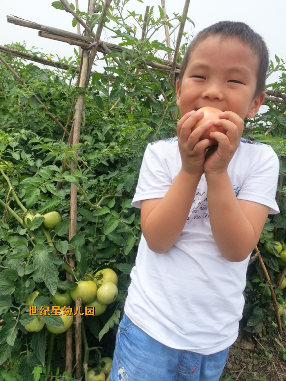 żҵ߲20150621_113050.jpg