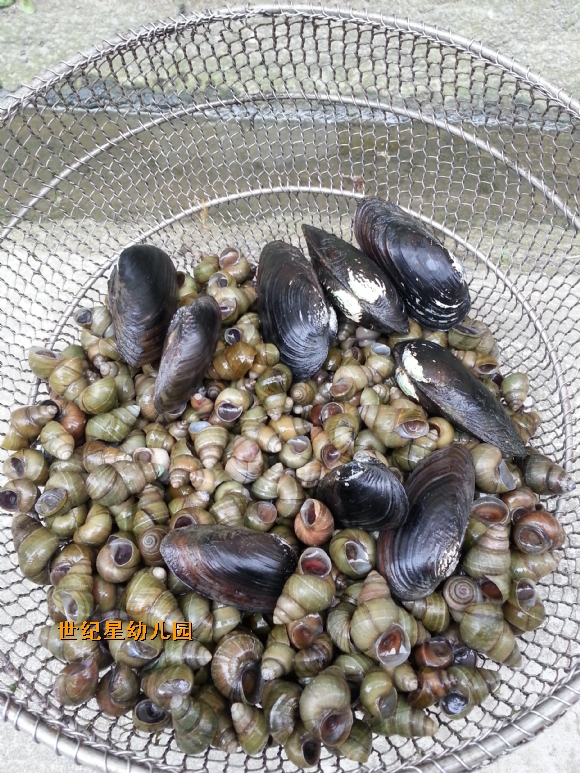 żҵ߲20150621_133645.jpg