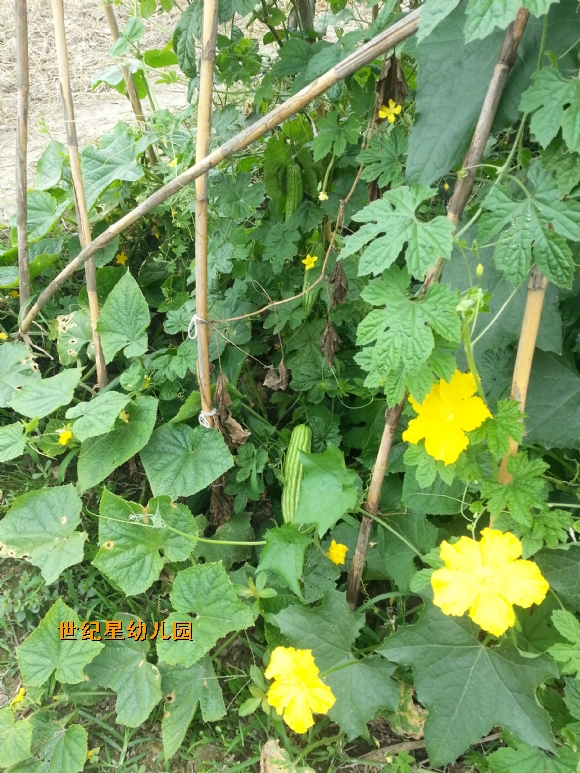 żҵ߲20150621_114524.jpg