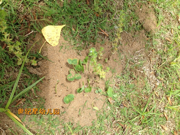 IMG_6592.JPG