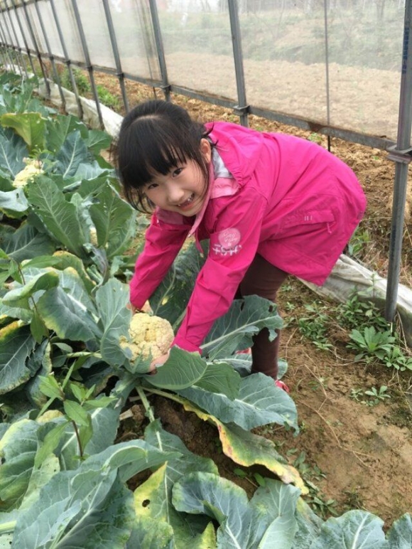 QQ图片20151115145725.jpg