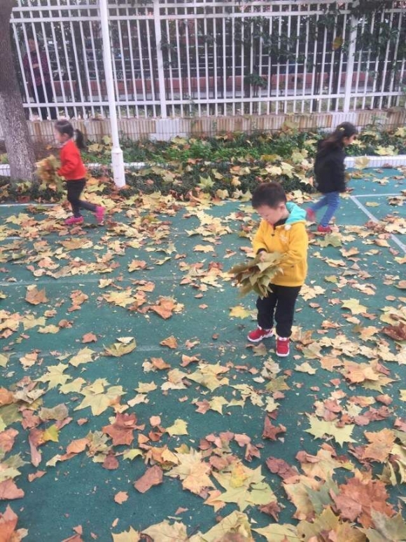 QQͼƬ20161202125426.jpg