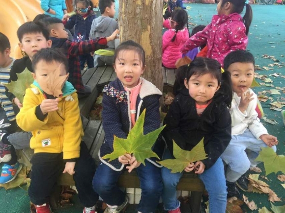 QQͼƬ20161202125720.jpg