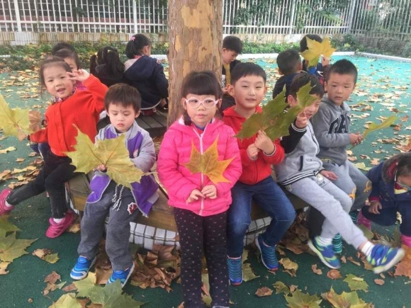 QQͼƬ20161202125728.jpg