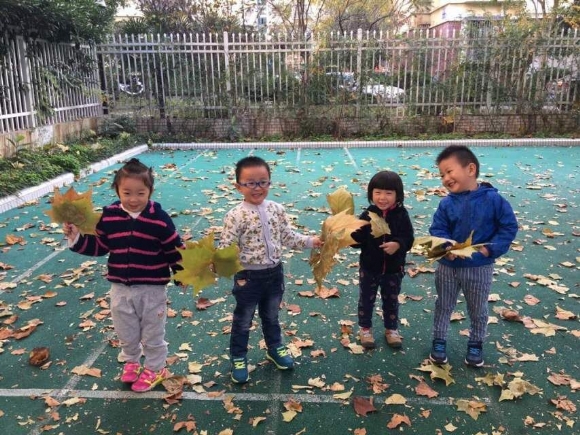 QQͼƬ20161220160301.jpg