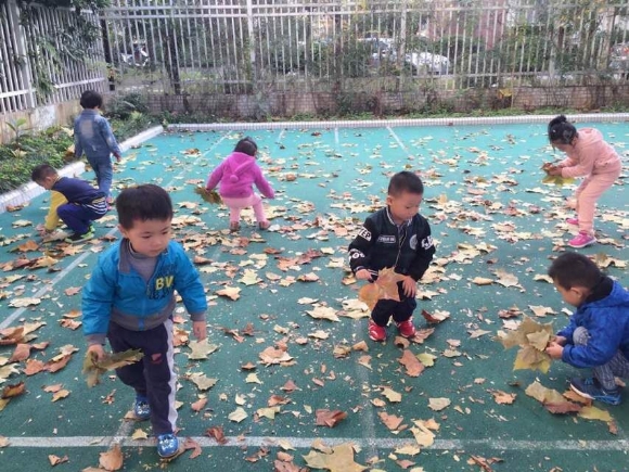 QQͼƬ20161220160244.jpg