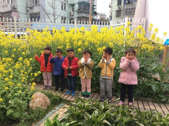 QQ图片20170322122706.jpg