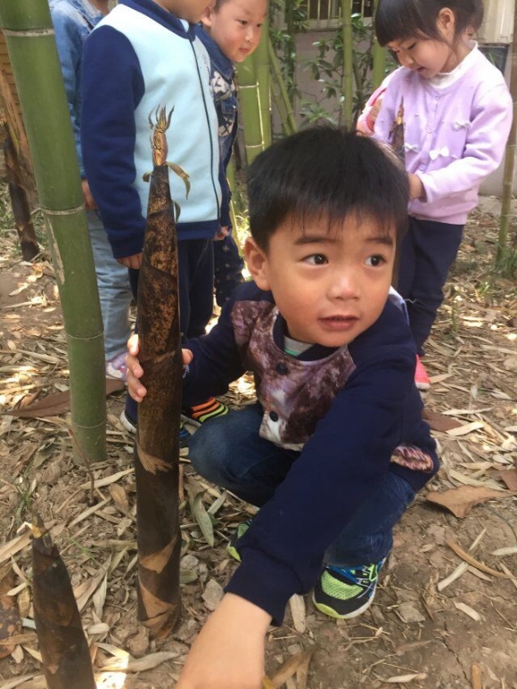QQͼƬ20170509135412.jpg