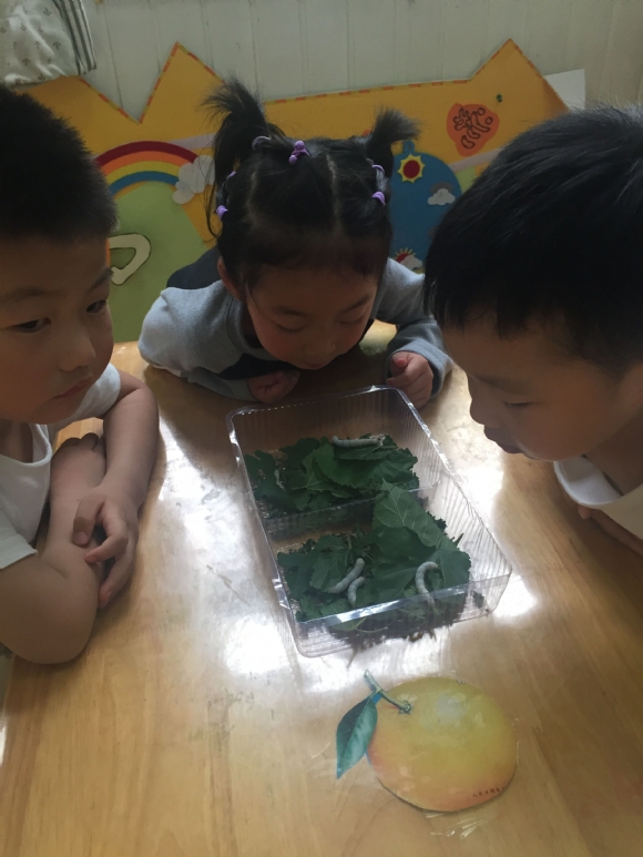 QQ图片20170512121358.jpg