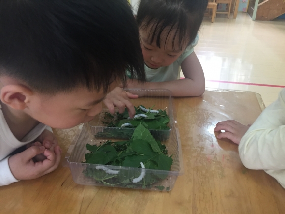 QQ图片20170512121352.jpg
