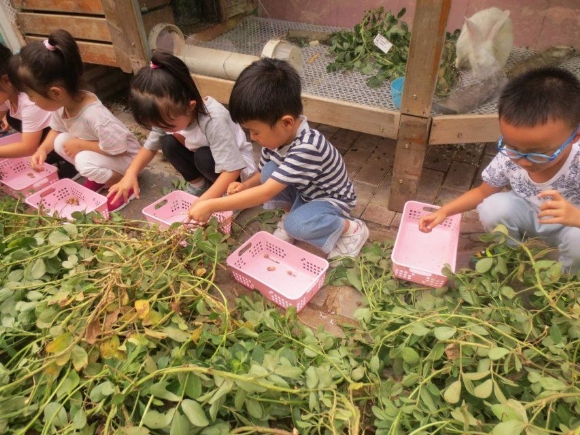 TIMͼƬ20170926134842.jpg