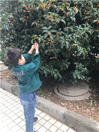 QQ图片20180102111730.jpg