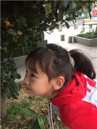 QQ图片20180102111711.jpg