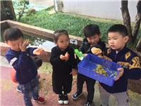 QQ图片20180102111143.jpg