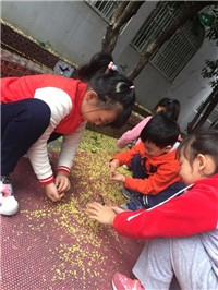 QQ图片20180102111124.jpg