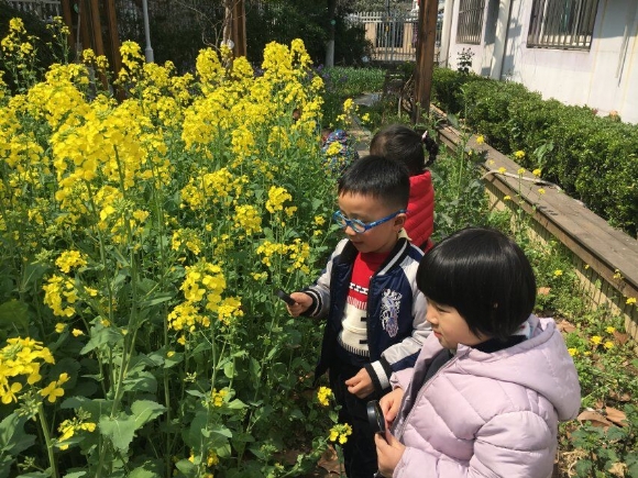QQͼƬ20180415103848.jpg