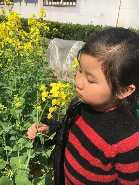 QQͼƬ20180415103904.jpg