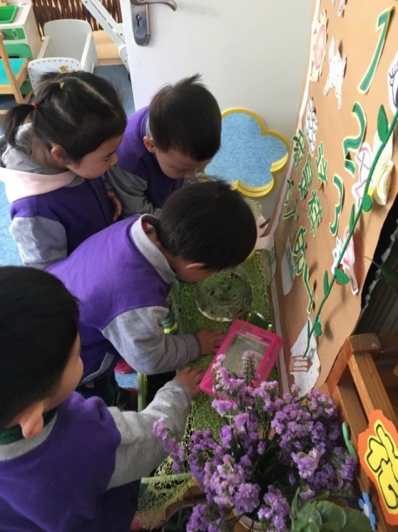 QQ图片20180420162506.jpg