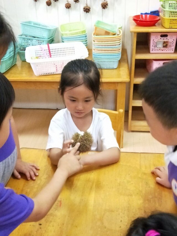 QQ图片20181022115139.jpg