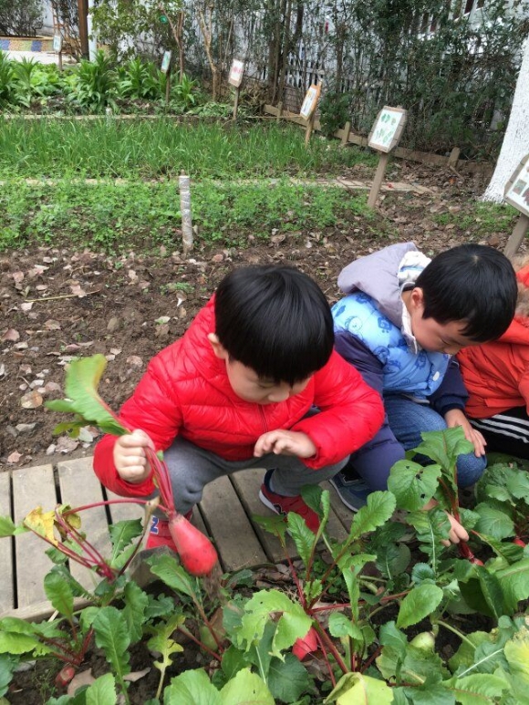 QQ图片20190103173009.jpg