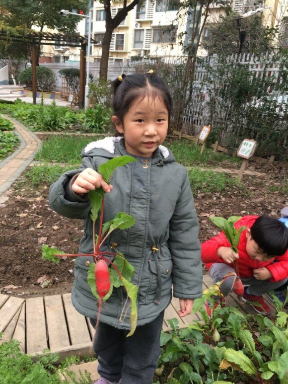 QQ图片20190103172950.jpg
