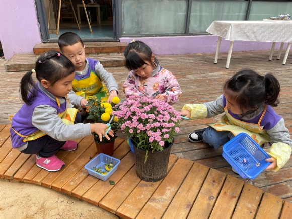 附件:20211020163520.png 附件:20211020163520.png