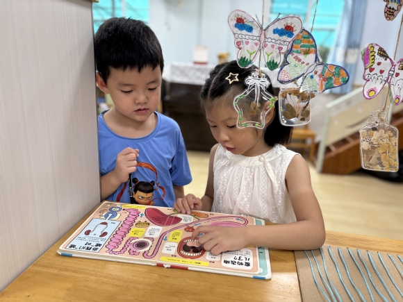 附件:IMG_4803.JPG 附件:IMG_4803.JPG